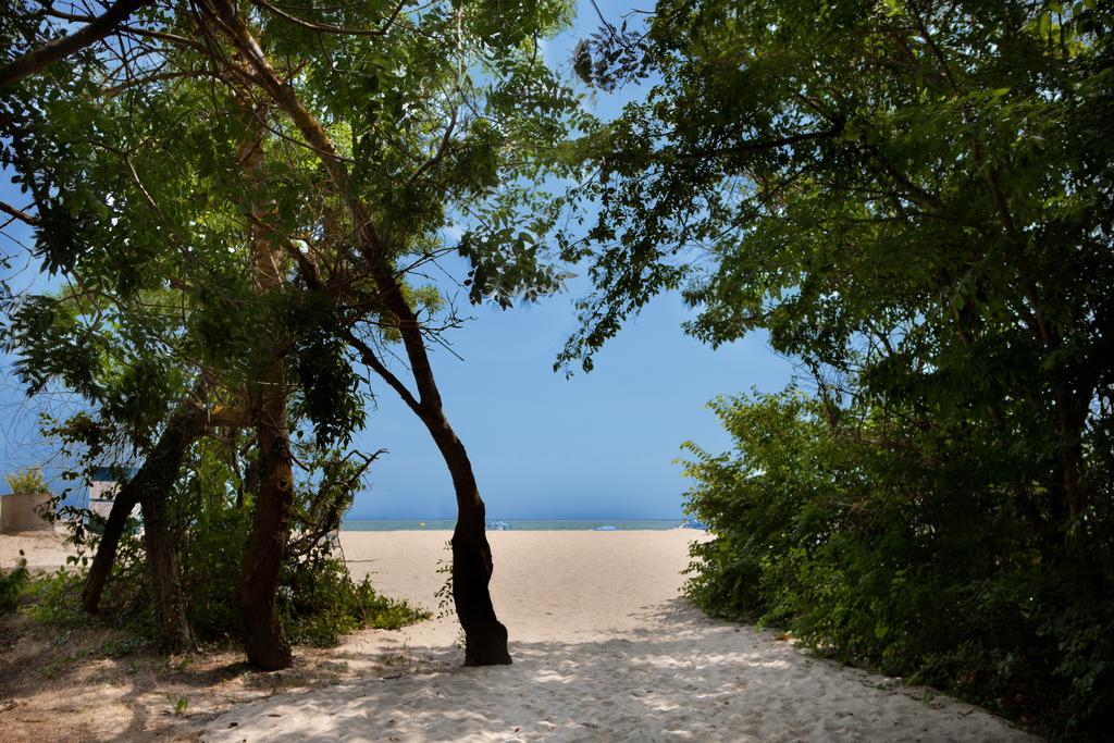 Hotel Slavuna Albena Ngoại thất bức ảnh