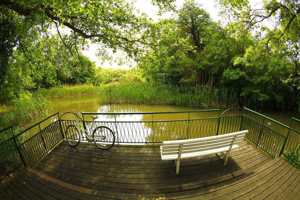 Hotel Slavuna Albena Ngoại thất bức ảnh